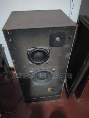 Trio Baffle Speaker