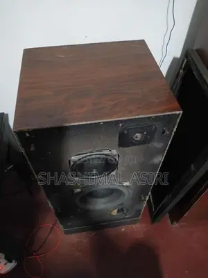 Trio Baffle Speaker