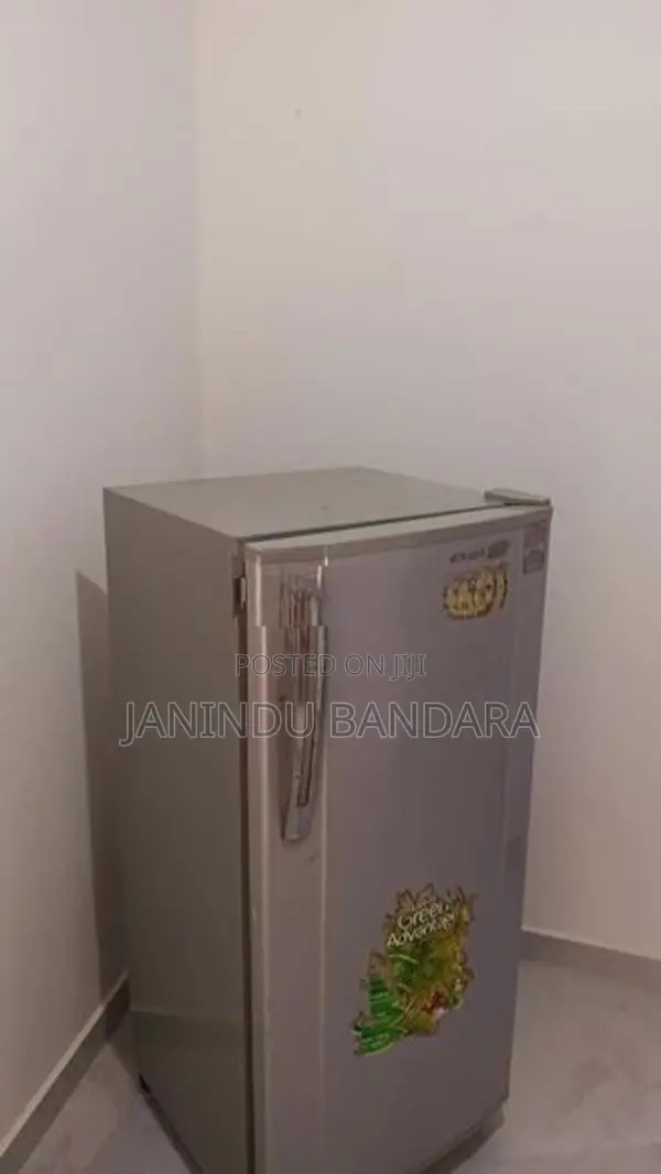 Singer Refrigerator