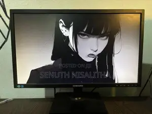 Samsung 22 Inch Monitor