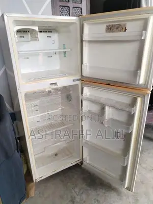 Samsung Double Door Refrigerator RT321GBSW