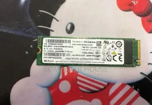 512GB NVME SSD