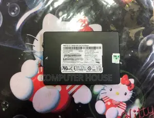 256GB SATA SSD