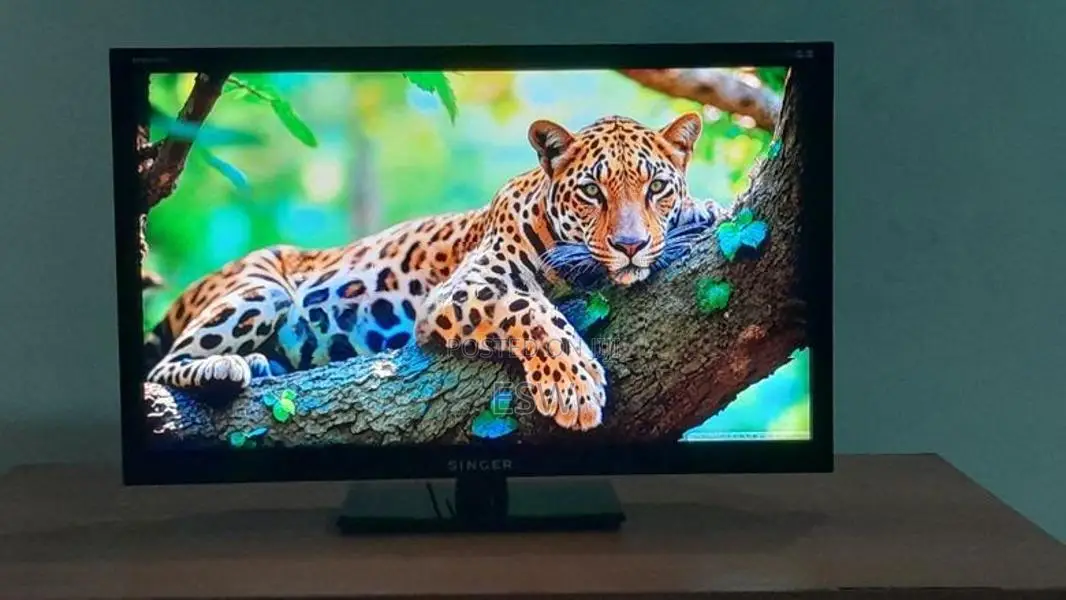 Singer Spectra 24" LED TV