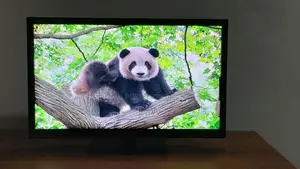Singer Spectra 24" LED TV
