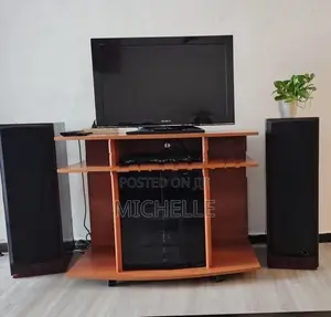 Sony TV with DVD Player