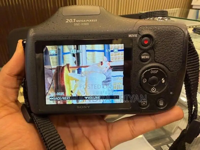Sony DSC-H300