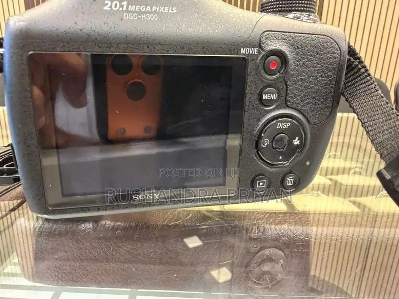 Sony DSC-H300