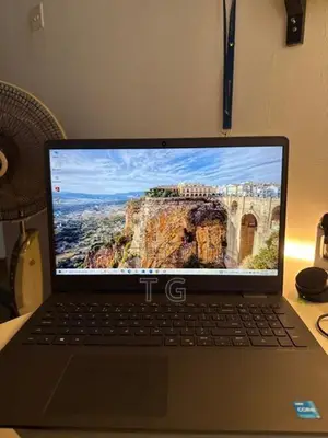 Dell Inspiron 3501