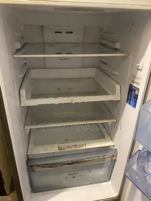 Samsung 250L Digital Inverter Double Door Refrigerator