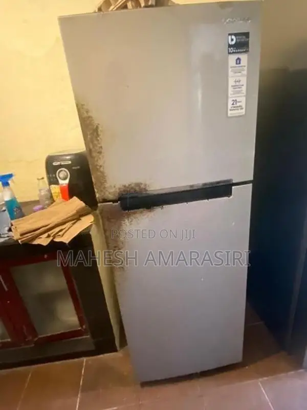 Samsung 250L Digital Inverter Double Door Refrigerator