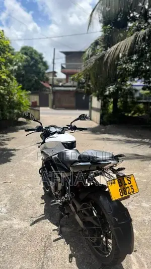 Bajaj Pulsar NS200 2019 Motorbike (Used)