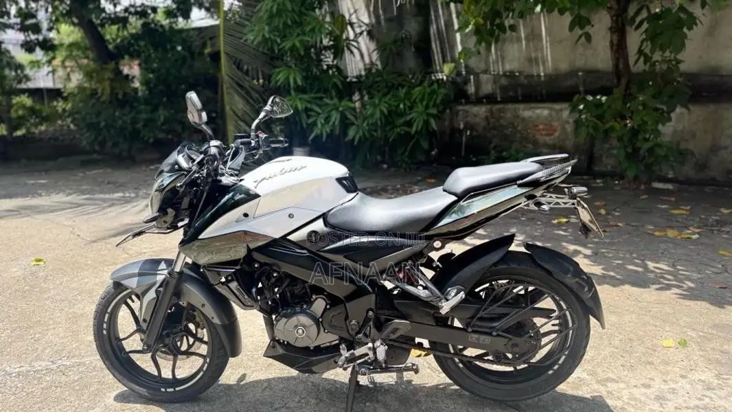 Bajaj Pulsar NS200 2019 Motorbike (Used)
