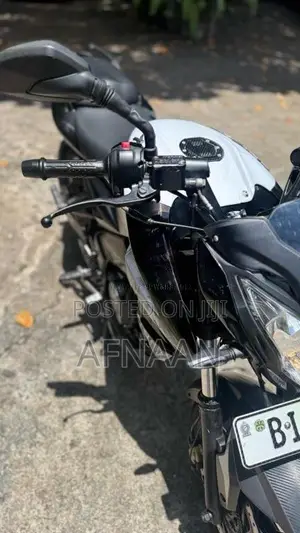 Bajaj Pulsar NS200 2019 Motorbike (Used)