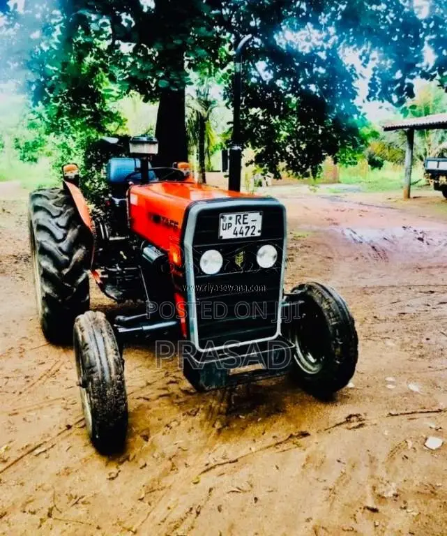 TAFE 45DI 2017 Tractor (Used)