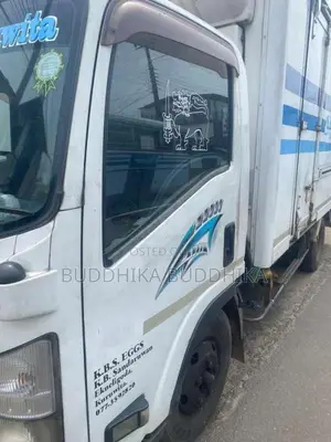 Isuzu ELF 2014 Lorry (Used)