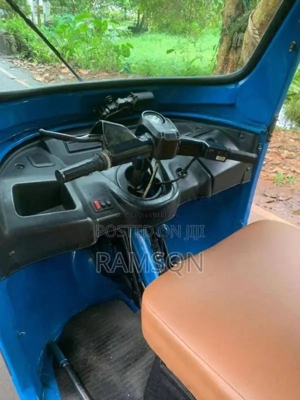 TVS King 2014 Three Wheel (Used)