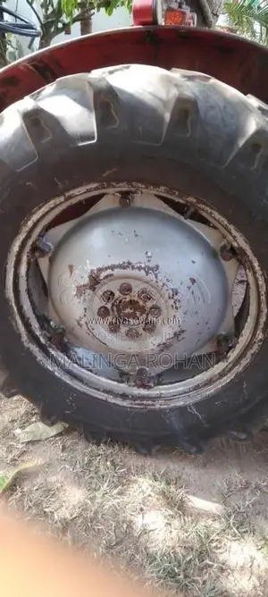 Massey-Ferguson 135 DL 1981 Tractor (Used)