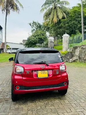 Toyota Passo 2019 Car (Used)
