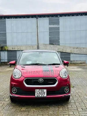 Toyota Passo 2019 Car (Used)