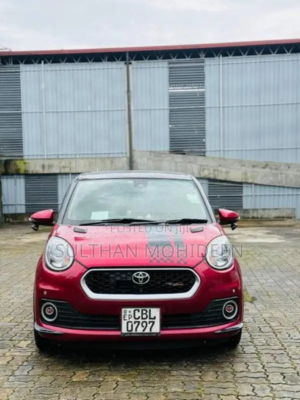 Toyota Passo 2019 Car (Used)