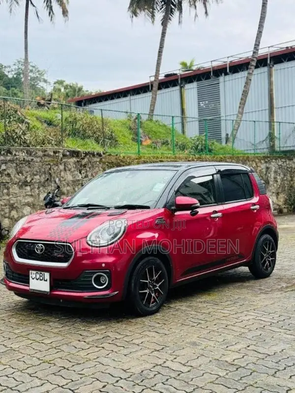 Toyota Passo 2019 Car (Used)