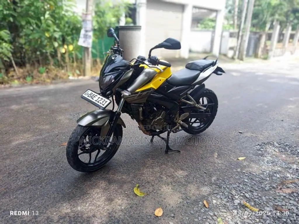 Bajaj Pulsar NS200 2014 Motorbike (Used)