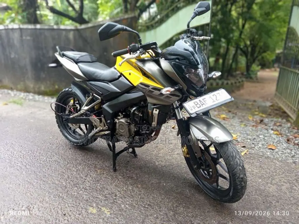 Bajaj Pulsar NS200 2014 Motorbike (Used)