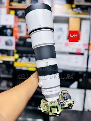 Sony FE 200.600mm f5.6 G Lens