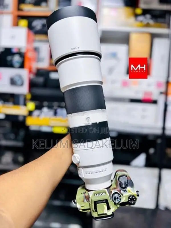 Sony FE 200.600mm f5.6 G Lens