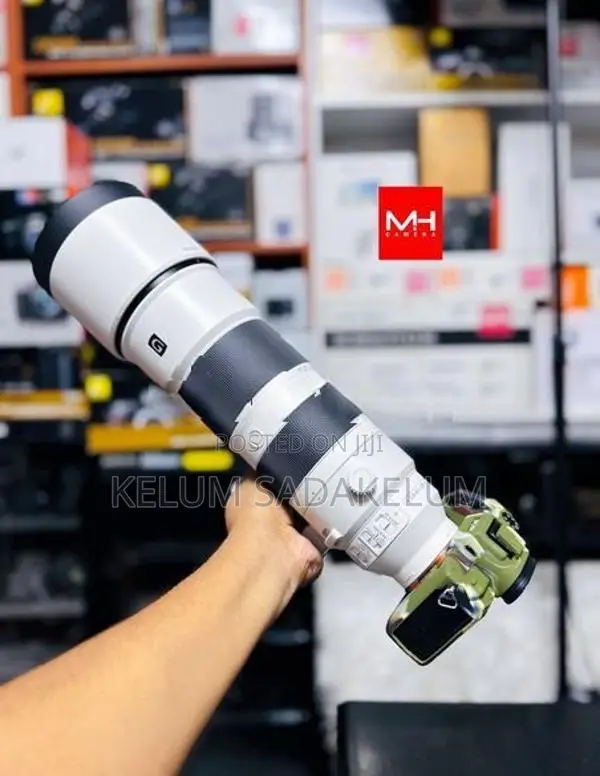 Sony FE 200.600mm f5.6 G Lens