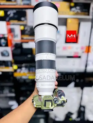 Sony FE 200.600mm f5.6 G Lens