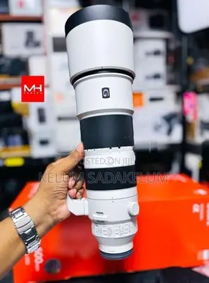 Sony FE 200-600mm f/5.6-6.3 G OSS Lens