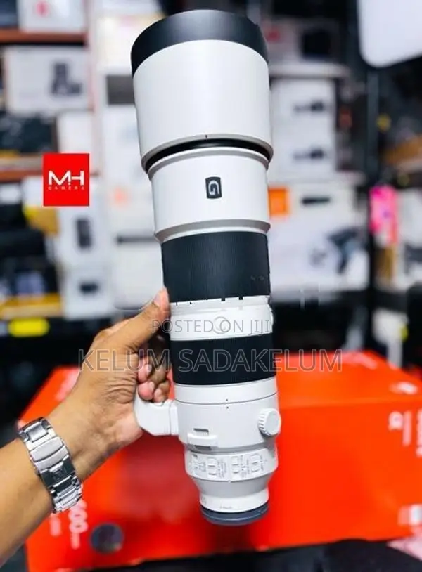 Sony FE 200-600mm f/5.6-6.3 G OSS Lens