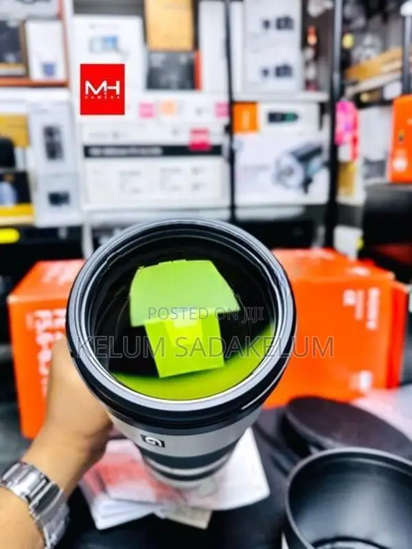 Sony FE 200-600mm f/5.6-6.3 G OSS Lens