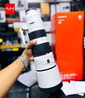 Sony FE 200-600mm f/5.6-6.3 G OSS Lens