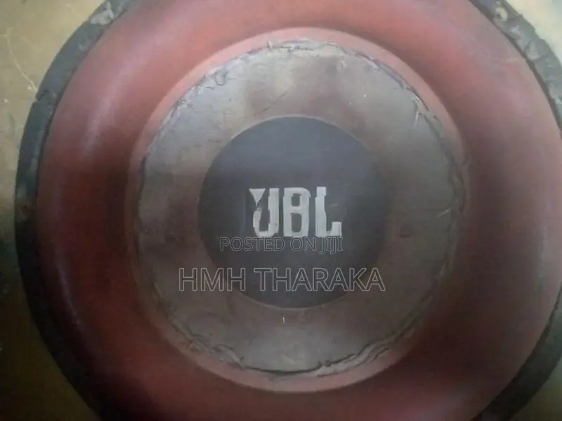 JBL 10 Inch Speaker