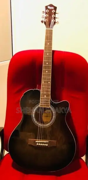 Tayste (T405-BK) Acoustic Guitar