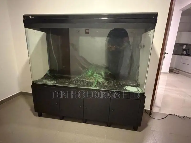 All Glass Imported 5Ft Fish Tank