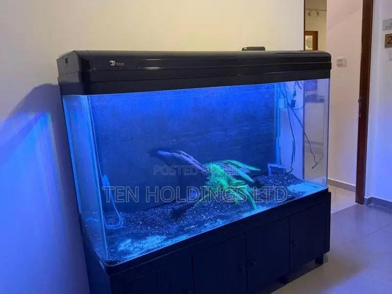 All Glass Imported 5Ft Fish Tank