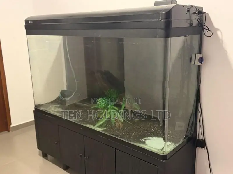 All Glass Imported 5Ft Fish Tank