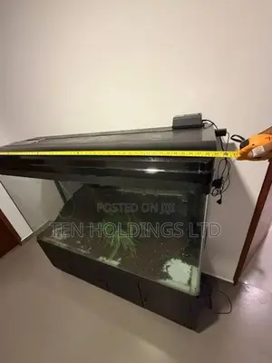 All Glass Imported 5Ft Fish Tank