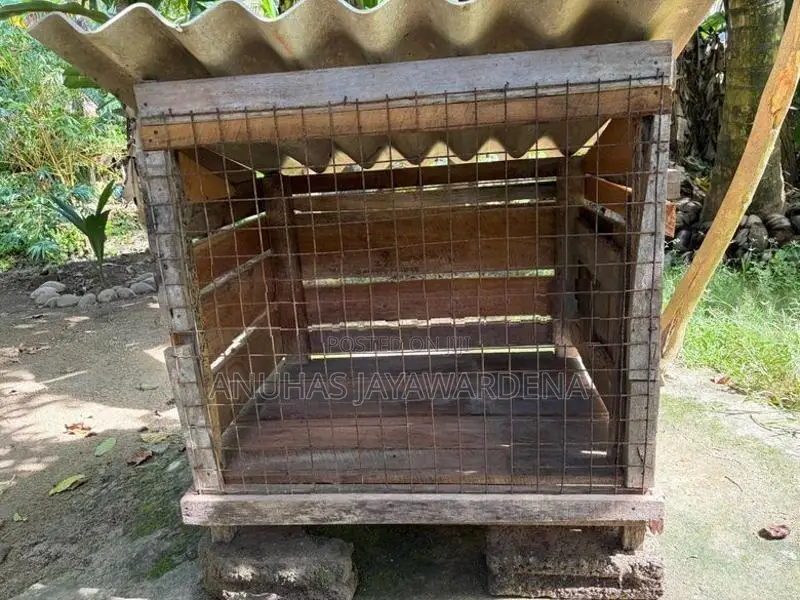 Used Kennel (Dog Cage) භාවිතා කරන ලද බලු කූඩුවක්