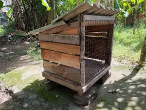 Used Kennel (Dog Cage) භාවිතා කරන ලද බලු කූඩුවක්
