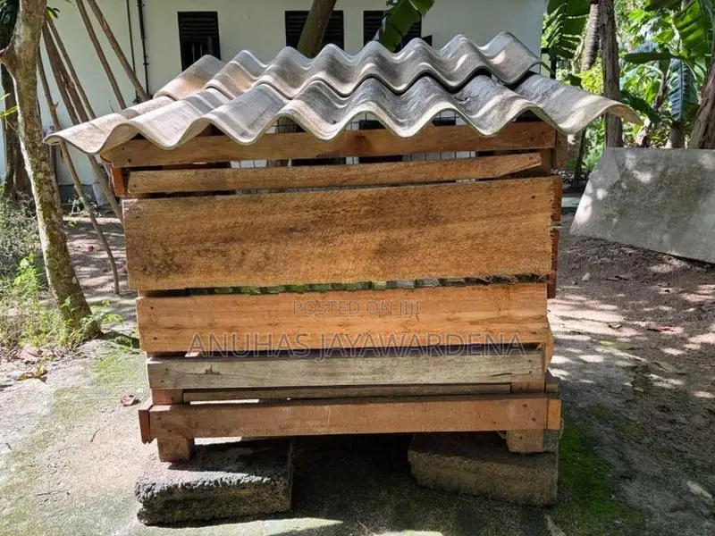 Used Kennel (Dog Cage) භාවිතා කරන ලද බලු කූඩුවක්