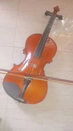 Violin