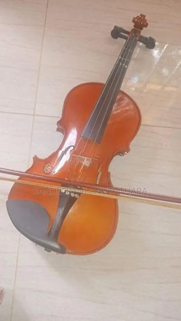 Violin
