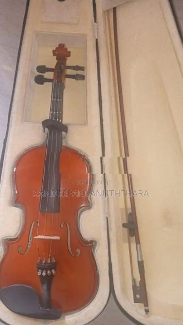 Violin