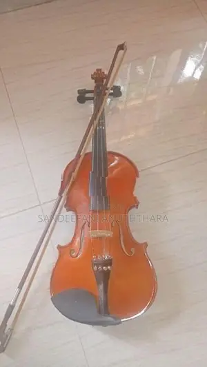 Violin