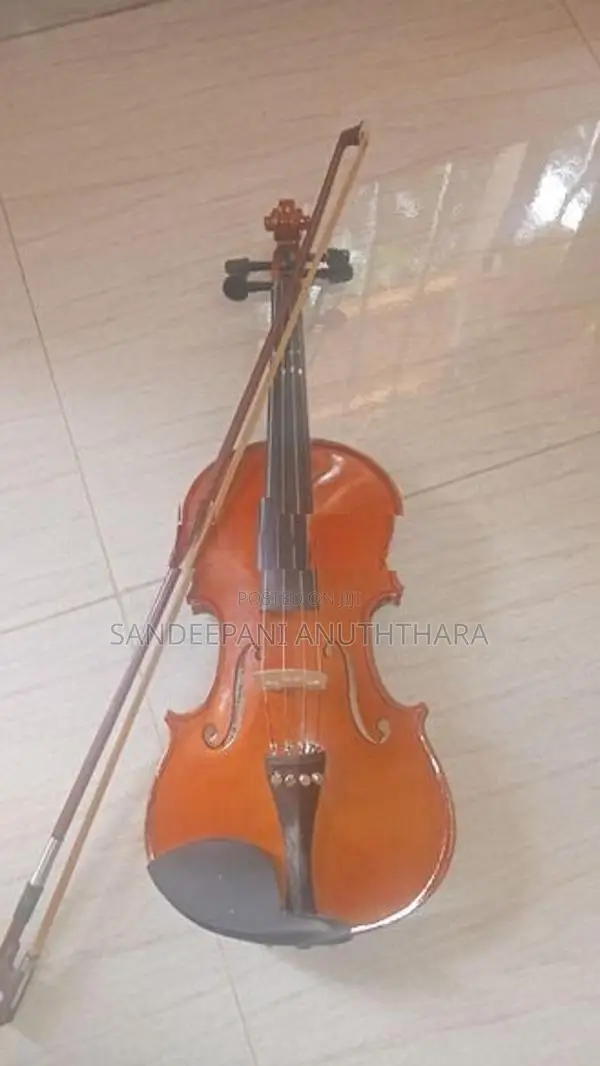 Violin